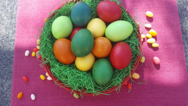 Eier